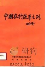 中国农村改革之路-论家庭承包与社会化服务（1991 PDF版）