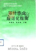 审计作业规范化指南   1993  PDF电子版封面  7205023378  李春阳，李洪第主编 
