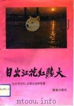 日出江花红胜火  长沙市农村、区街企业群星谱（1993 PDF版）