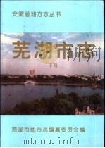 芜湖市志  下（1995 PDF版）