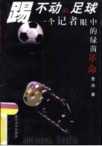 踢不动的足球  一个记者眼中的绿茵革命（1999 PDF版）
