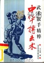 中华搏击术  武术散手精粹（1993 PDF版）