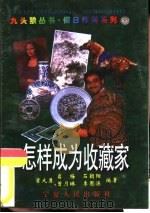 怎样成为收藏家   1996  PDF电子版封面  7227016250  董大勇，岩梅等编著 