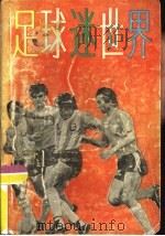 足球迷世界   1988  PDF电子版封面  7506000636  张宏，李朝辉等编译 