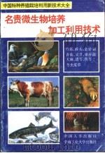 名贵微生物培养加工利用技术（1994 PDF版）