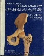 人体解剖彩色图谱   1990  PDF电子版封面  711701380X  麦克明（Mcminn，R.M.H.），哈钦斯（Hutchin 