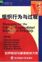 组织行为与过程  英文版（1998 PDF版）