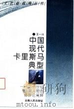 中国现代卡里斯马典型  二十世纪小说人物的修辞论阐释   1994  PDF电子版封面  722201683X  王一川著 