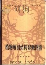 植物解剖结构显微图谱   1983  PDF电子版封面  16144·2628  郑湘如，王希善编译 