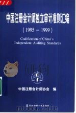 中国注册会计师独立审计准则汇编  1995-1999   1999  PDF电子版封面  7810445227  中国注册会计师协会编 