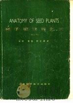 种子植物解剖学  第2版（1982 PDF版）