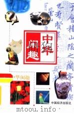 中华闲趣  中国象棋（1999 PDF版）