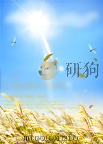 中美关系论文集 P342     PDF电子版封面     