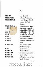 汉英新词语词典   1994年12月第1版  PDF电子版封面    葛宝祥  梁在明主编 