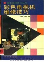 彩色电视机维修技巧   1994  PDF电子版封面  7533113489  王建国，于晓平主编 