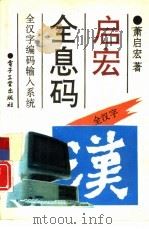 启宏全息码  全汉字编码输入系统（1993 PDF版）