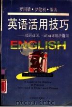 英语活用技巧  双词、三词动词用法指南（1994 PDF版）