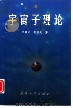 宇宙子理论   1997  PDF电子版封面  7118016624  刘启文，刘启武著 