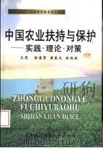中国农业扶持与保护  实践·理论·对策（1999 PDF版）