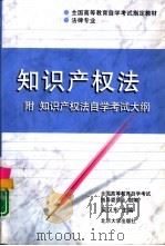 知识产权法   1998  PDF电子版封面  7301038771  吴汉东主编 