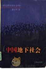 中国地下社会  清前期秘密社会卷（1993 PDF版）