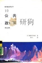 公共政策   1991  PDF电子版封面  7800363441  （日）药师寺泰藏著；张丹译 