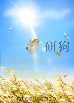 陈毅的人生艺术   1994  PDF电子版封面    徐晓曼 