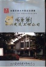 北京市第六建筑工程公司   1994  PDF电子版封面  7800923452  王树林主编 
