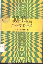 中国工业化与产业技术进步   1992  PDF电子版封面  7300013783  （日）丸山伸郎著；高志前等译 