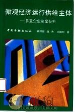 微观经济运行供给主体  多重企业制度分析   1992  PDF电子版封面  7504908789  褚时健，魏杰，王国刚著 