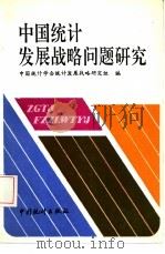 中国统计发展战略问题研究（1988 PDF版）