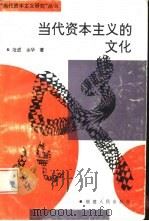 当代资本主义的文化   1996  PDF电子版封面  7211026510  范进，金华著 