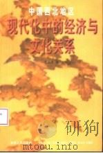 中国西北地区现代化中的经济与文化关系   1998  PDF电子版封面  7226019264  倪国良著 