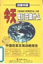 今天我们在做什么  中国改革发展战略报告   1999  PDF电子版封面  7805317240  中国战略与管理研究会主编 