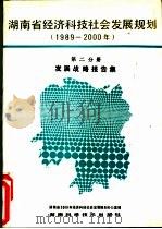 湖南省经济科技社会发展规划  （1989-2000年）  第二分册  发展战略报告集（1990 PDF版）