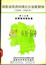 湖南省经济科技社会发展规划  1989-2000年  第3分册  发展规划报告集（1990 PDF版）
