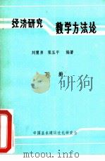经济研究数学方法论  下     PDF电子版封面    刘慧勇，张玉平编著 