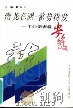 潜龙在渊·蓄势待发  中外记者看安徽   1994  PDF电子版封面  7212011460  窦永记主编 