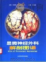 显微神经外科解剖图谱   1999  PDF电子版封面  7530422669  石祥恩，（美）A.L.Rhoton，Jr.主编 