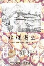 林坑写生     PDF电子版封面    赵瑞椿，周刚，金超音，陈国浩画 