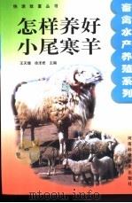 怎样养好小尾寒羊   1998  PDF电子版封面  7534920175  王天增，徐泽君主编 