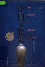 中国文化史  3     PDF电子版封面    张维青，高毅清著 