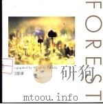 森の旋律（1995 PDF版）
