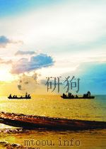 中国海关史（ PDF版）
