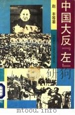 中国大反“左”（1993 PDF版）