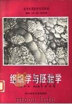 组织学与胚胎学   1987  PDF电子版封面  7560200095  尹昕主编 