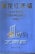 黑龙江年鉴  1998  总第16卷   1998  PDF电子版封面    黑龙江年鉴社编 