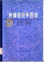 肿瘤组织学图谱   1981  PDF电子版封面  14195·98  李健编 