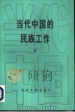 当代中国的民族工作  上     PDF电子版封面     