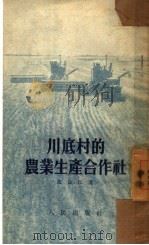 川底村的农业生产合作社   1952  PDF电子版封面    范长江著 